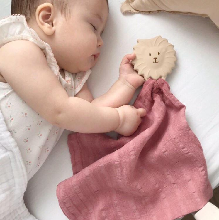 Rubber Teether with Muslin Comforter